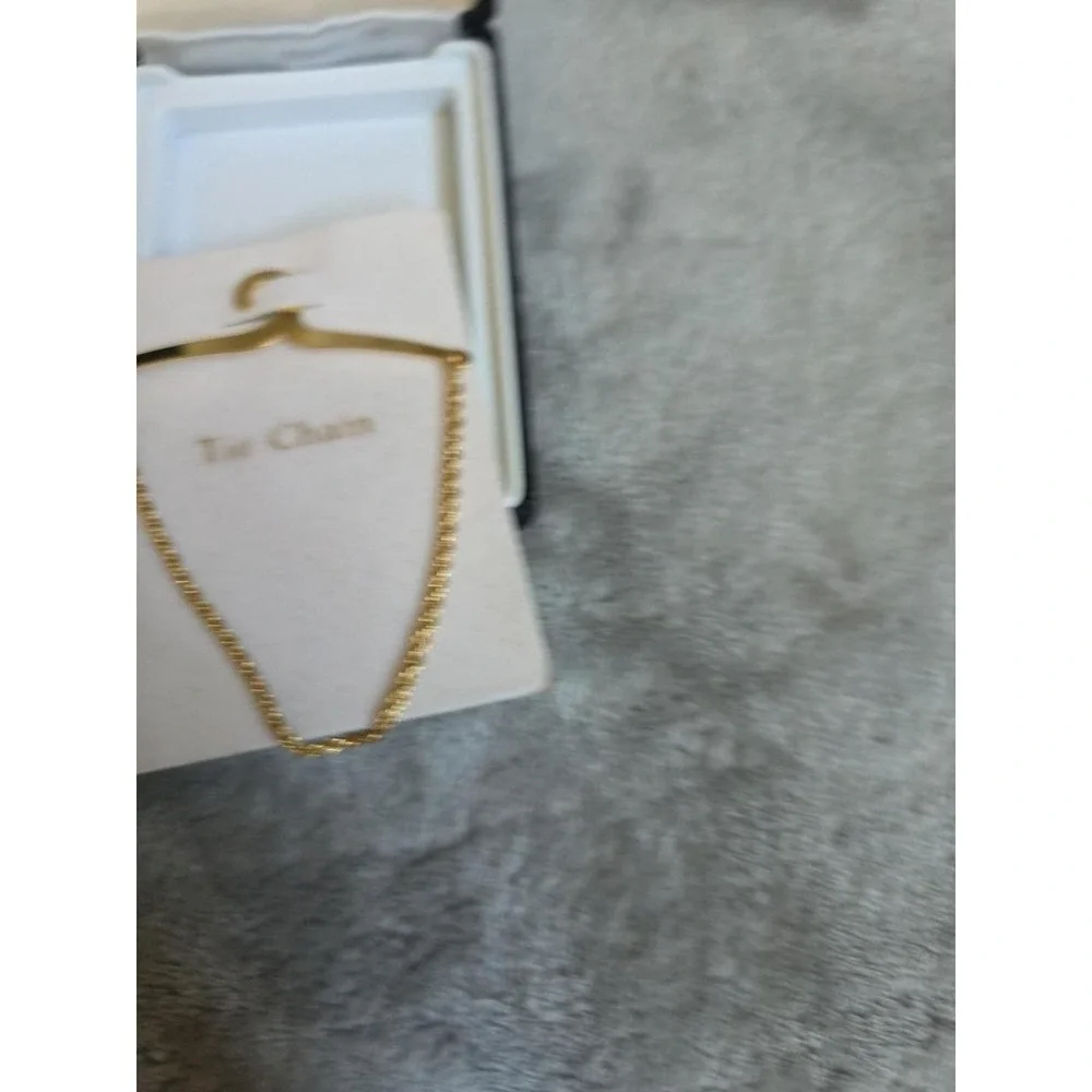 Gold Toned Tie Chain